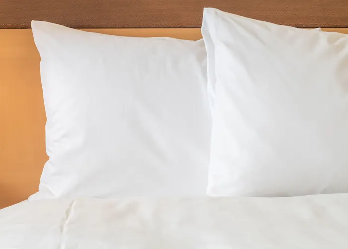 Express Muenchen Messe By Ihg Hotel 3*